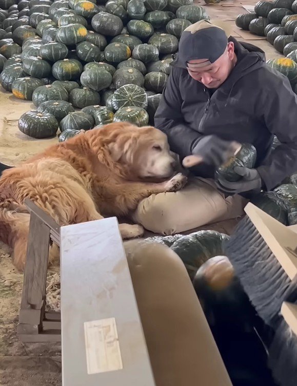 寝てしまったミントくん