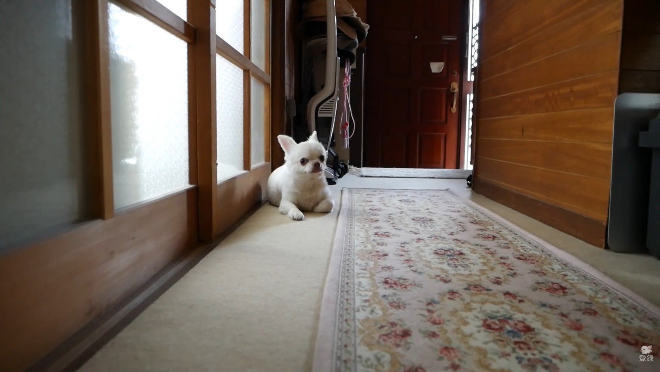 部屋の前で待機