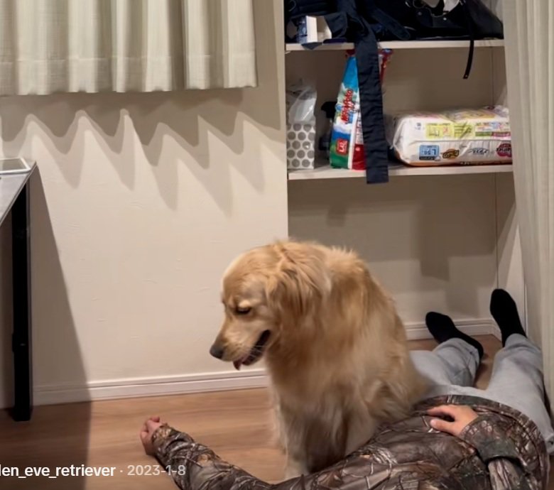 心配するイヴちゃん