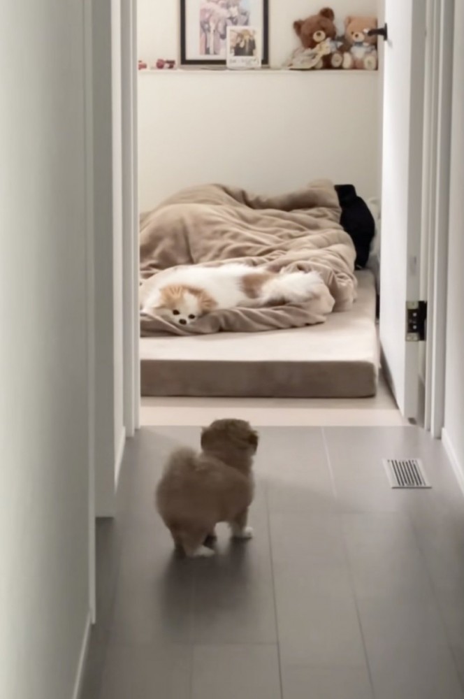 めんまちゃん「えっ…」