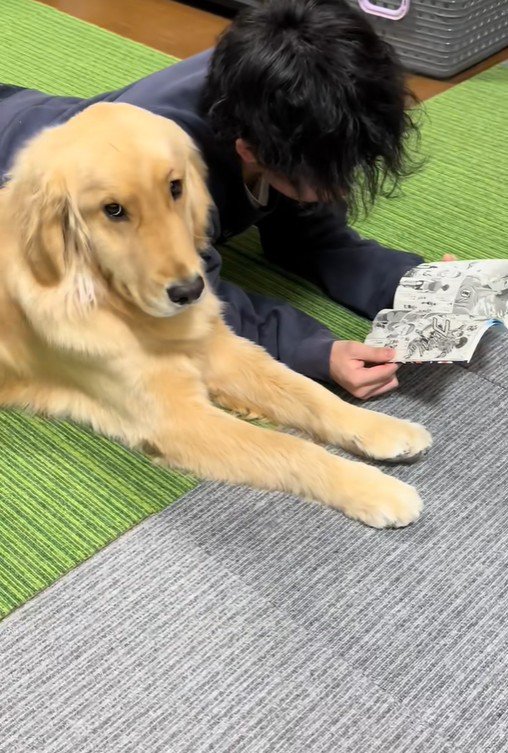 お兄ちゃんとべる君3