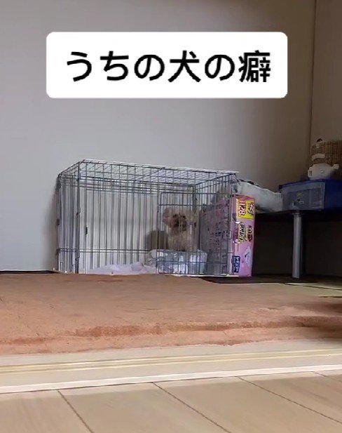 「悲しいお知らせって何？」