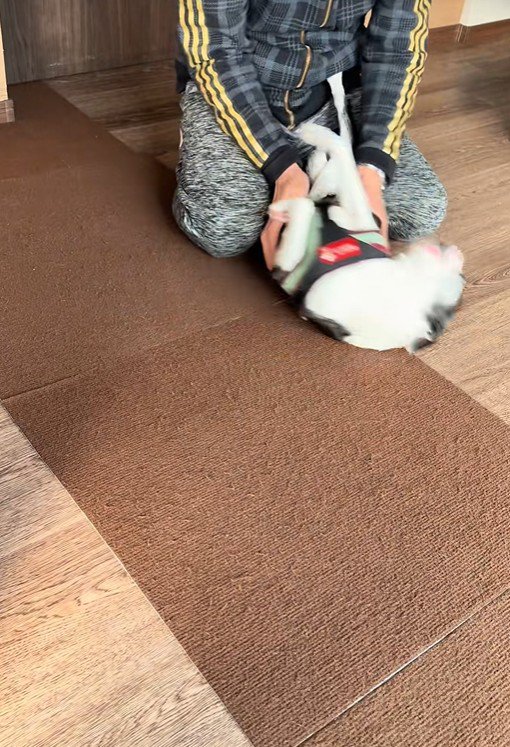 再会の喜びを分かち合う2人