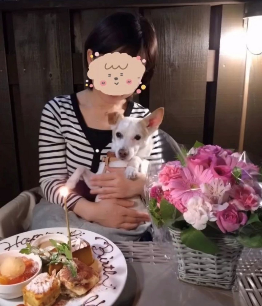 女性に抱っこされている犬とバースデープレート
