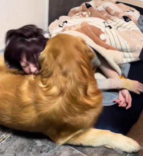 布団を取られたソララちゃん