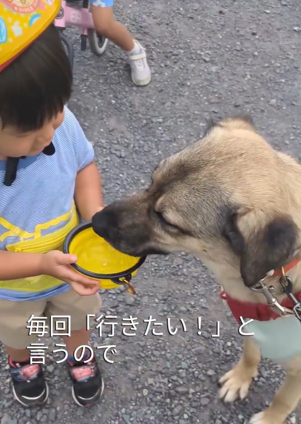 散歩に行きたがる男の子