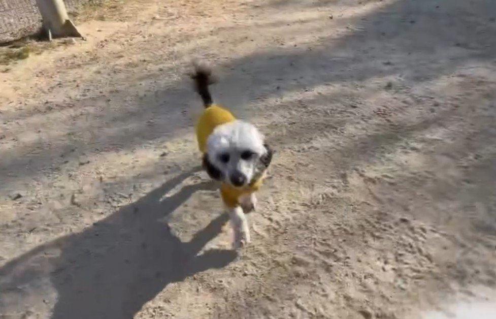 「パパ、大丈夫…？」