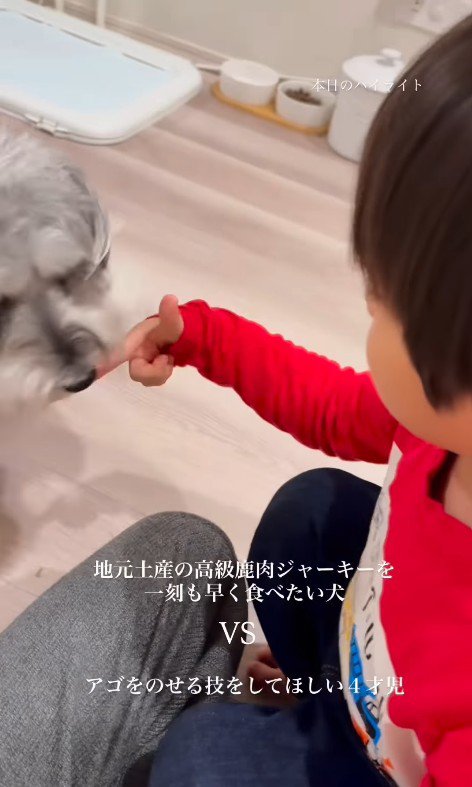 もなかちゃんの成長6