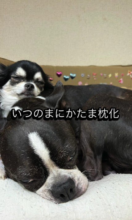 とっても穏やかな表情に…♡