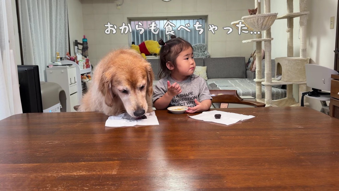 食べちゃった！！