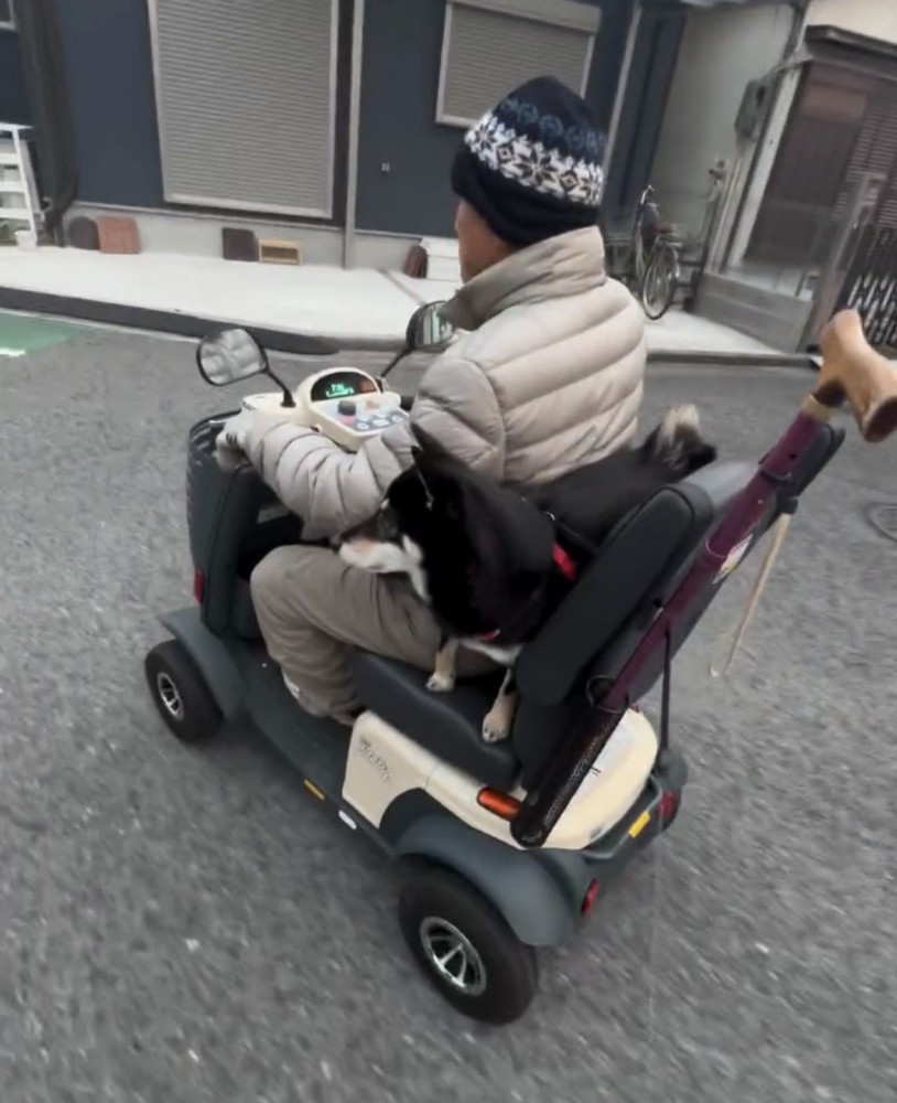 人と並んでシニアカーに乗る犬