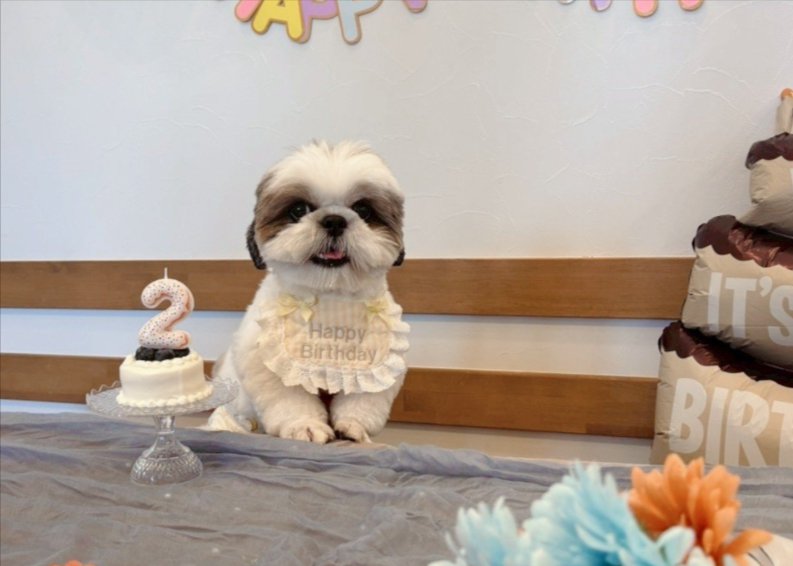 お誕生日