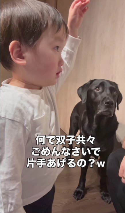 思わずかばいたくなってしまった