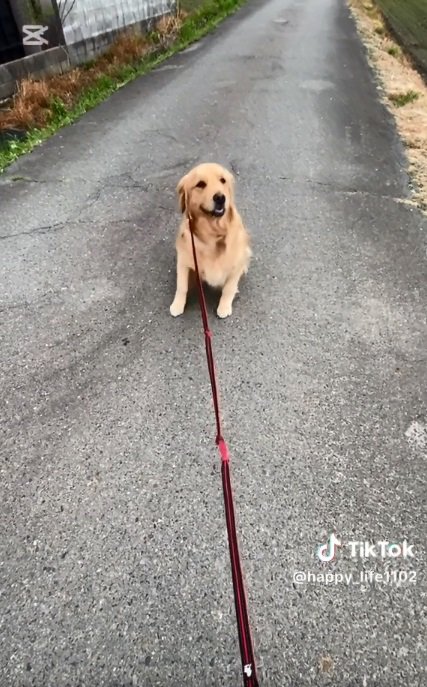 立ち上がるハッピーちゃん