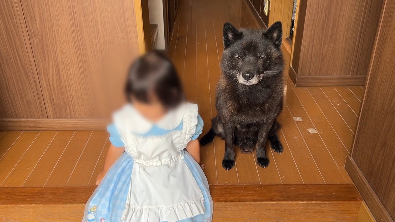 一休くんも妹ちゃんも寂しそう