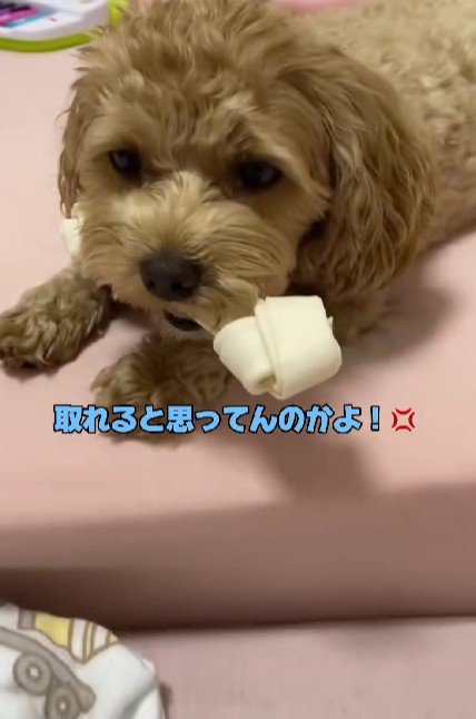 「これは私の！！」