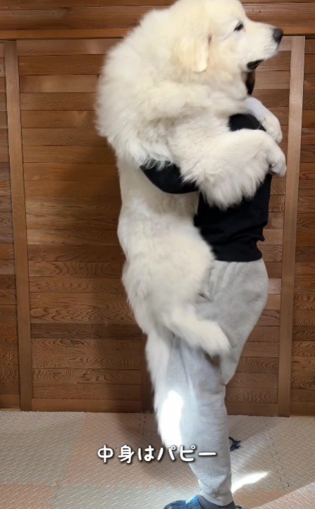 大きな体の赤ちゃんに♡