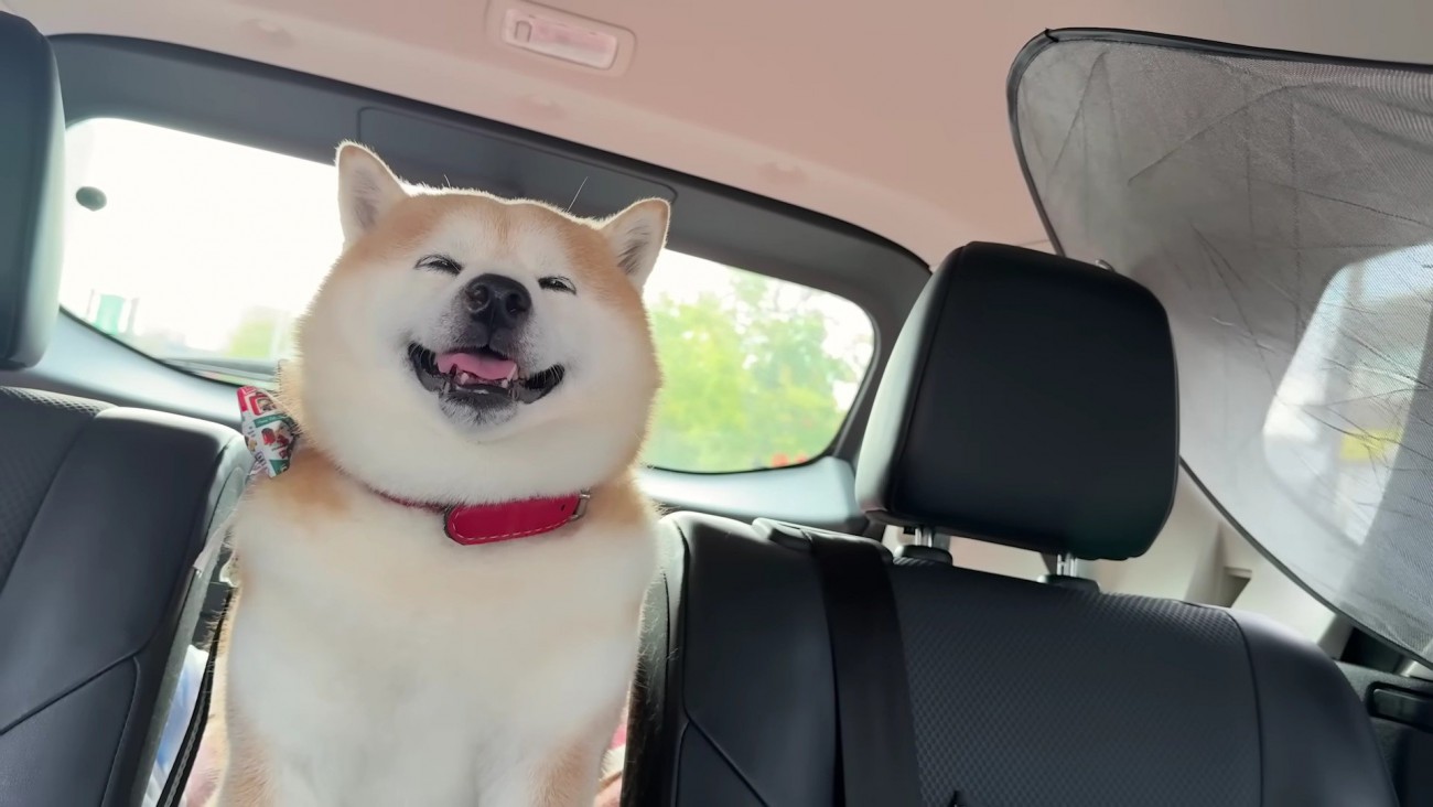 車の中でニコニコ幸せそう