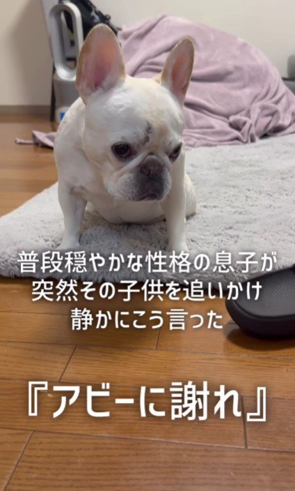 「アビーに謝れ」