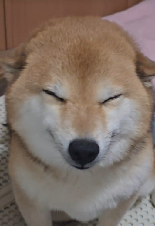 とっても嬉しそう♡