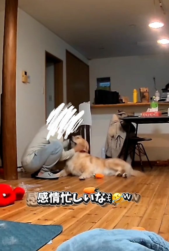 感情が忙しいパパ