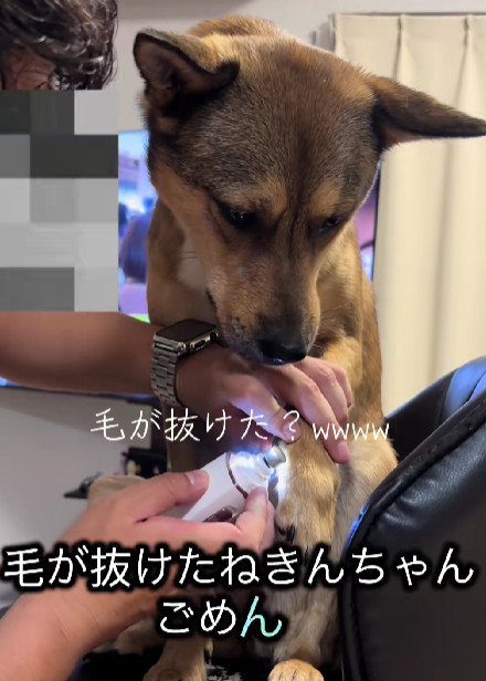 「嫌なのに……」