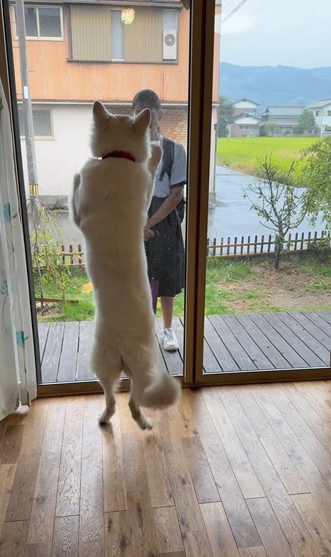 お姉ちゃんを引き止めたいまる君6