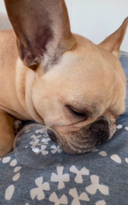 「オフ、オフ、オフ」