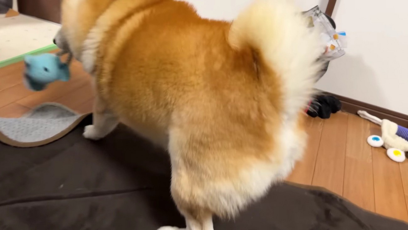 状況を理解した模様♪