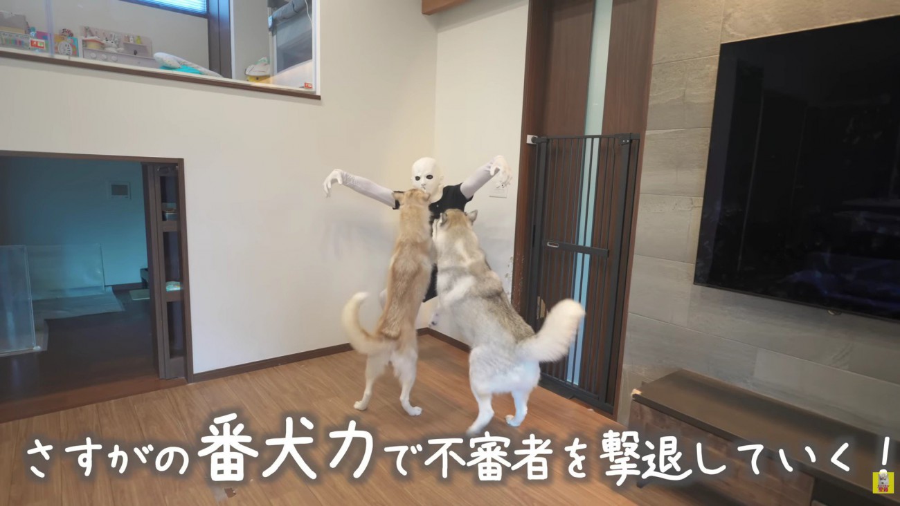 不審者を撃退してる！？