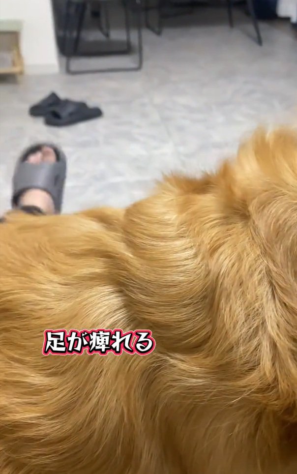 足がしびれたママ