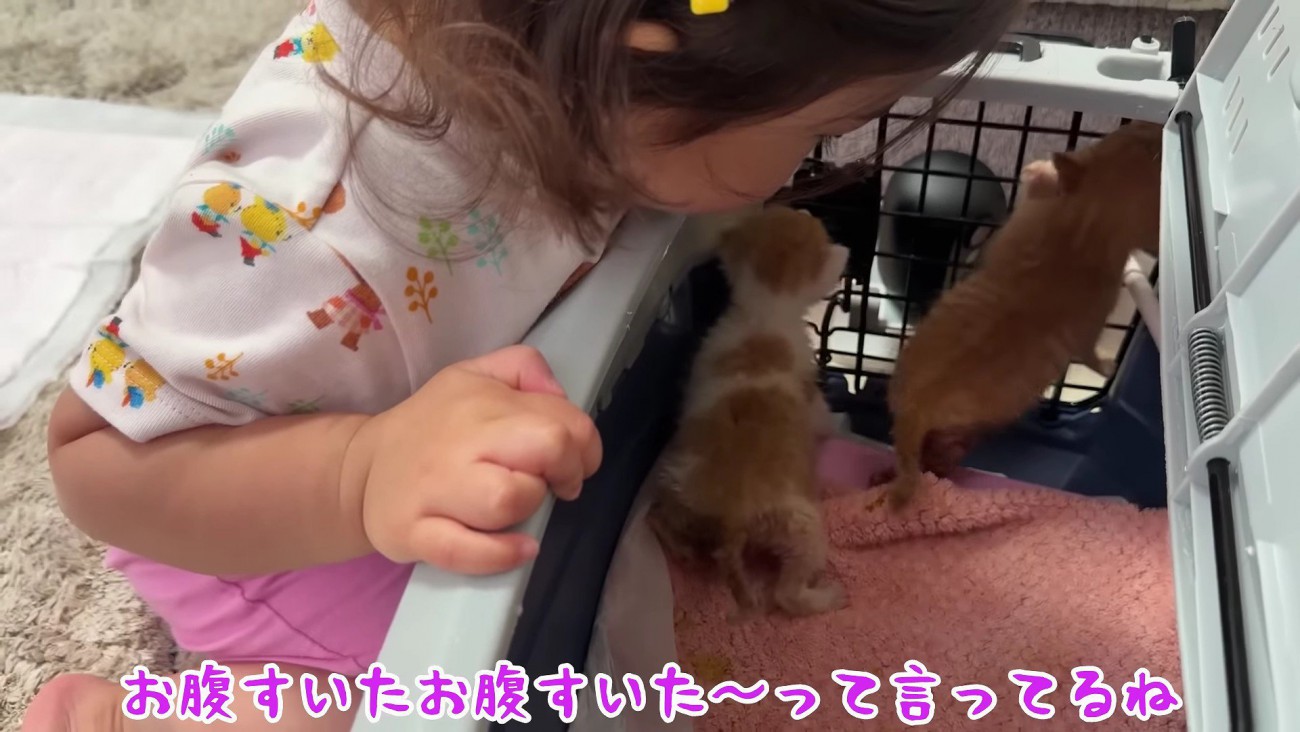 気になって仕方ない…