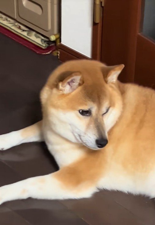 迷惑そう（笑）