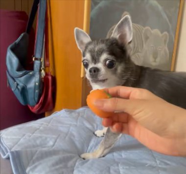 ハッ