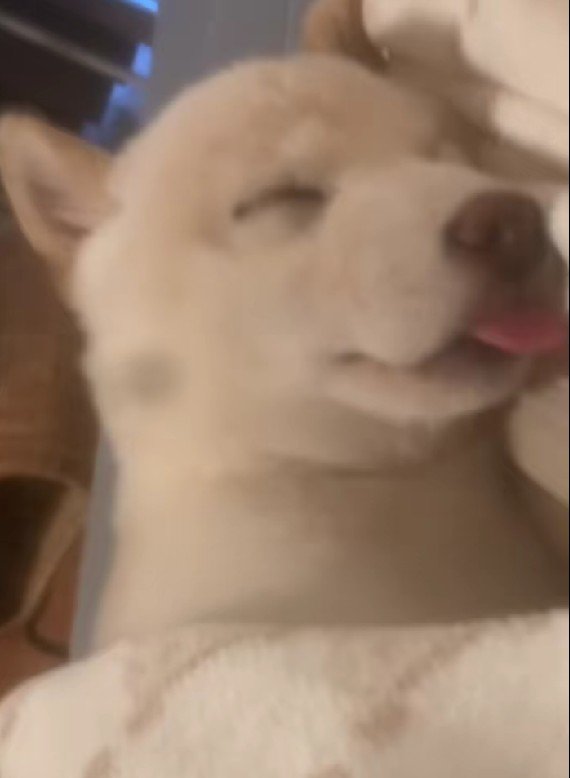 可愛くて思わず撮影…