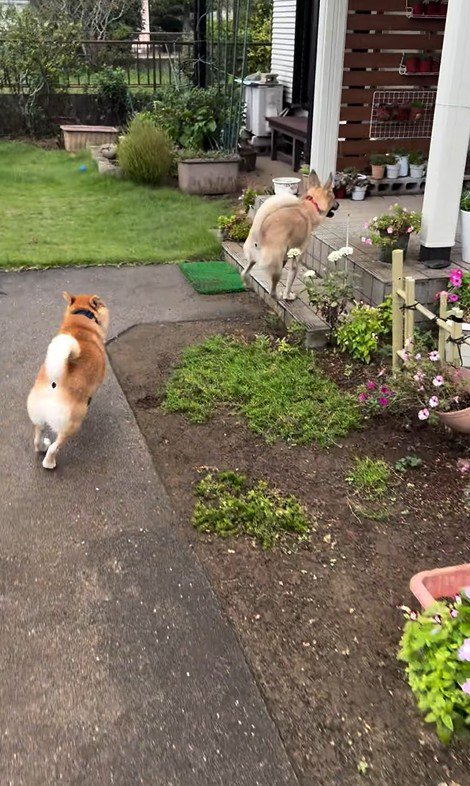 外で遊んでいた幸太郎くんと凛ちゃん8