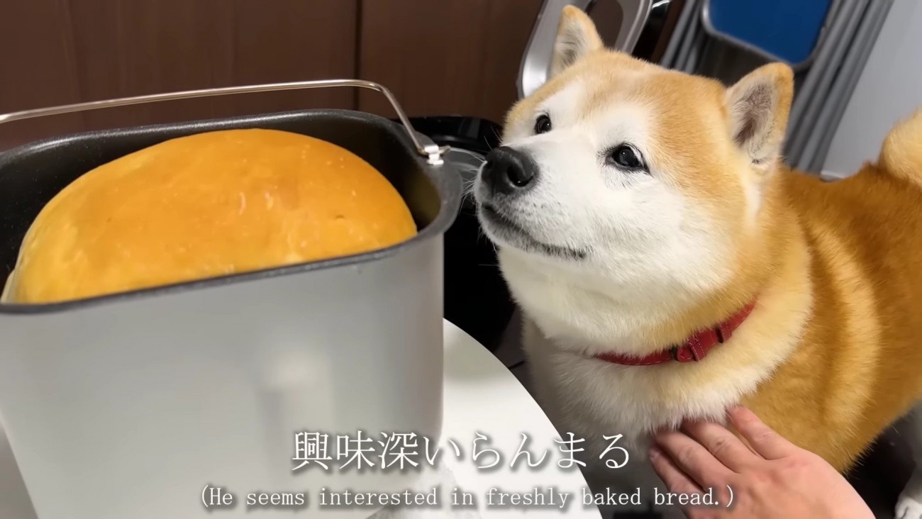 パンが完成！！