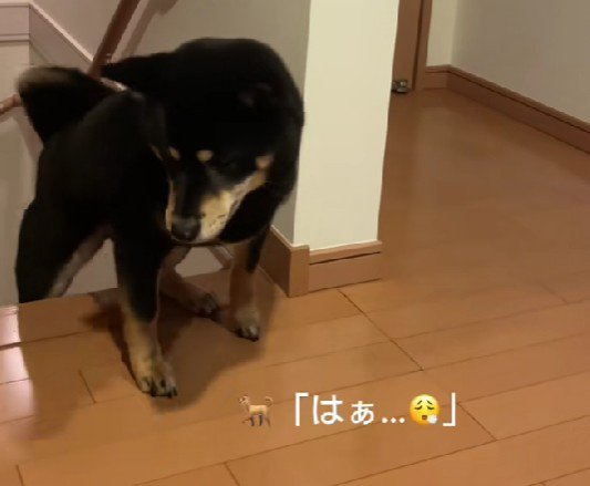 「はあ…」