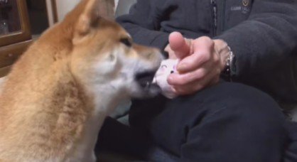 「はい、完成！」