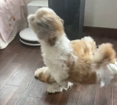 奈々