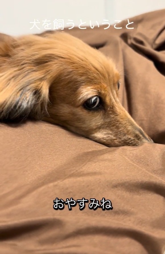 眠りにつくティナちゃん