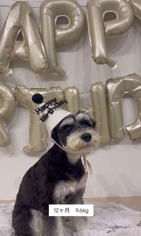 ボセくんの成長記録8