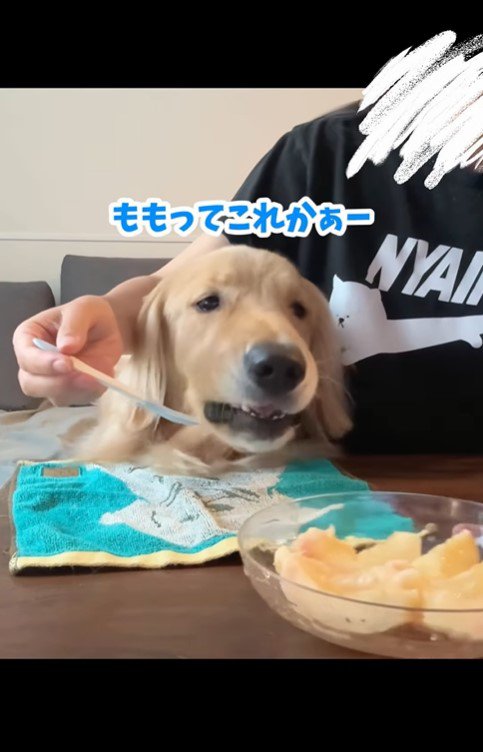 桃を食べるコロッケくん6