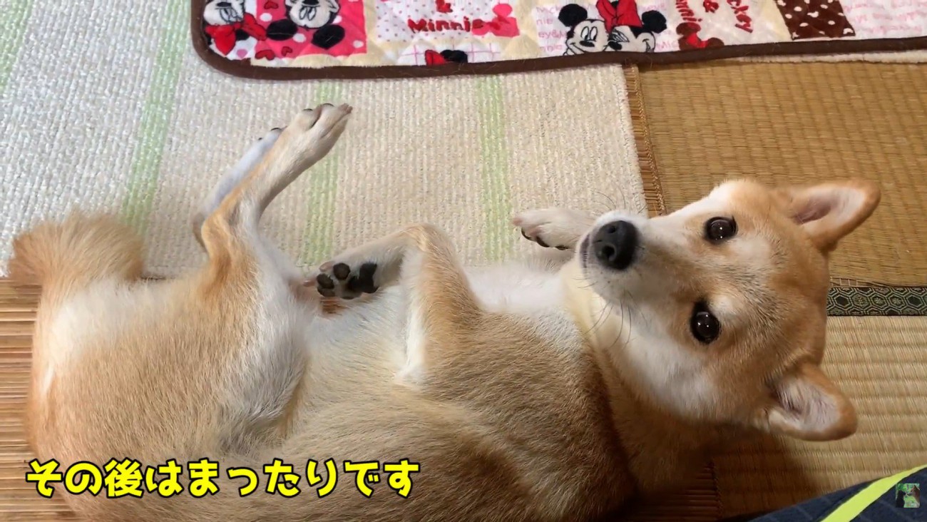 パパさんに寄り添ってリラックス