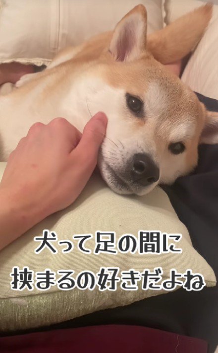 最高に愛おしい…♡