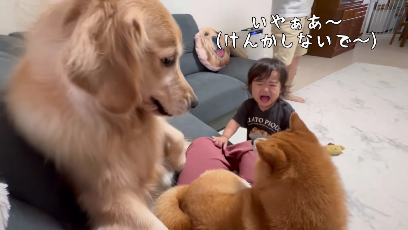 もみ合いになってしまった