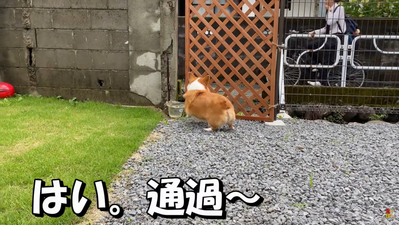 もう一度全力でお見送り♪
