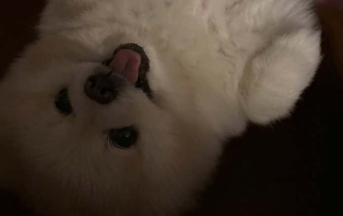 笑顔のぽちゃちゃん
