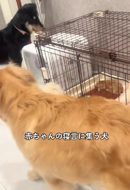 「大丈夫なの…？」