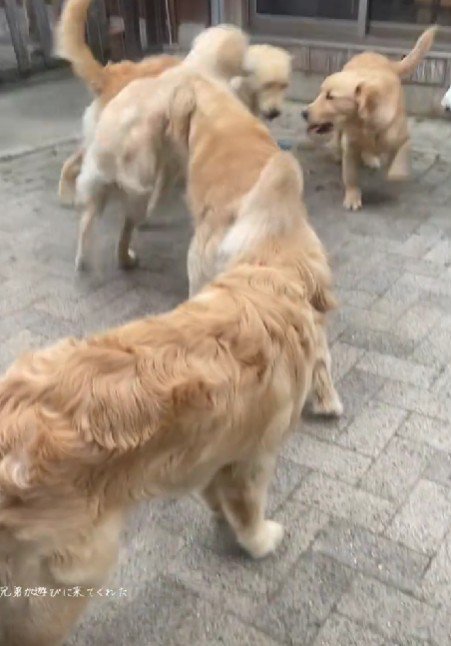 生後半年になると…